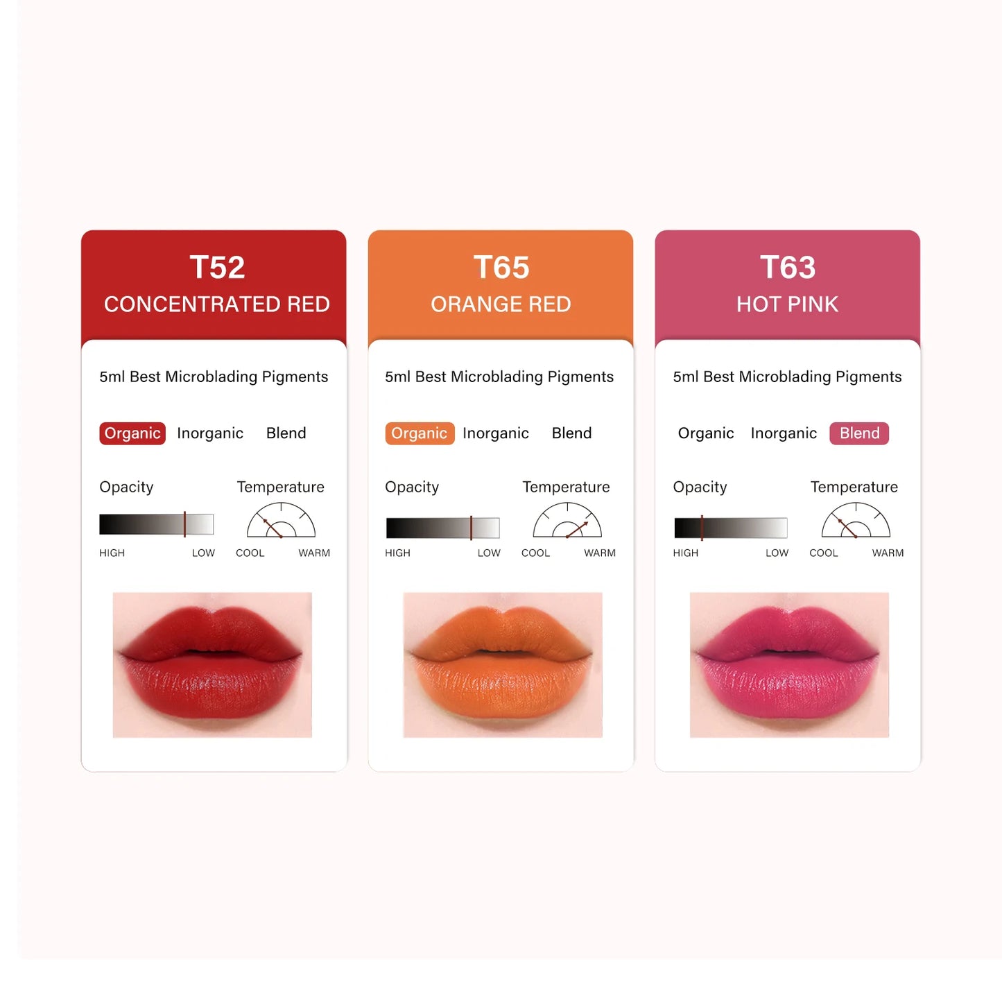 FAMISOO 5ML Lip Tattoo Inks Microblading Organic Permanent Makeup Lips Pigment Tattoo Pink Eyebrow Eyeliner PMU Pigment 0.17 OZ