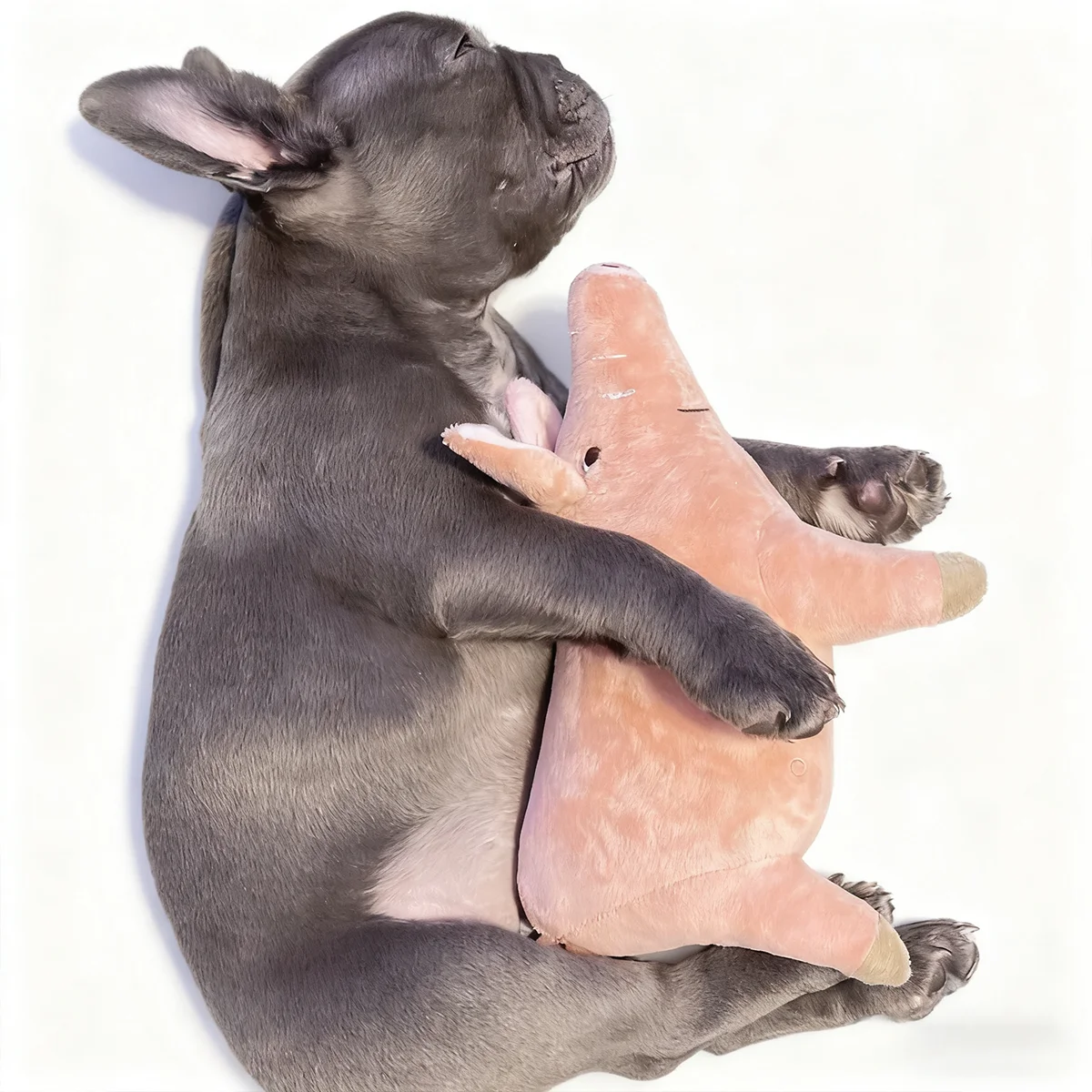 A Cute Pig Design Pet Teeth Grinding Plush Toy, Bite Resistant Interactive Dog Toy Supply