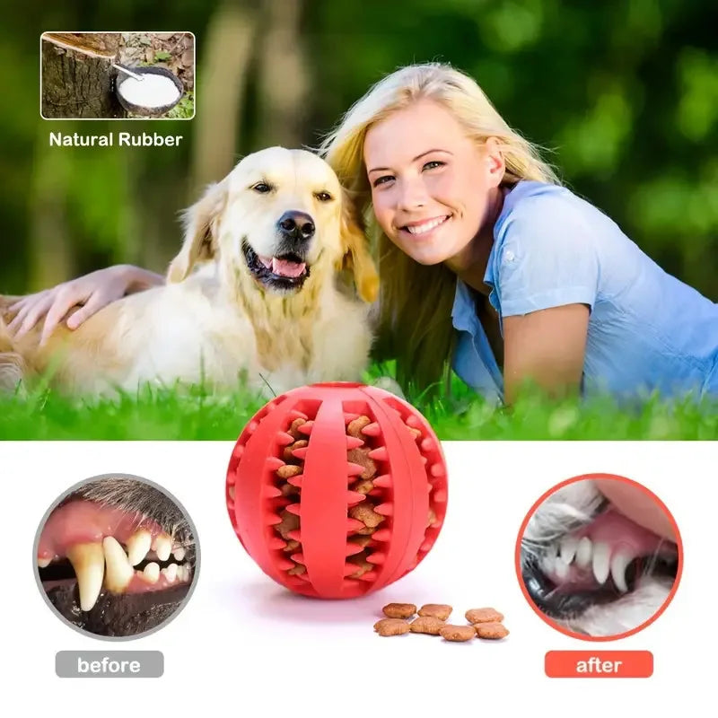 Pet Food Treat Feeder Dog Ball Nontoxic Bite Resistant Interactive Chew Toy Teeth Cleaning Ball Indoor Outdoor Cat Playing Toy