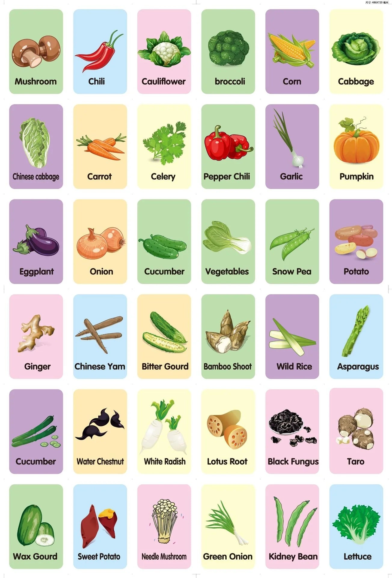 36Pcs Kids Cognition Card Shape Animal Color Teaching Baby English Learning Word Card Education Toys Montessori Material Gift