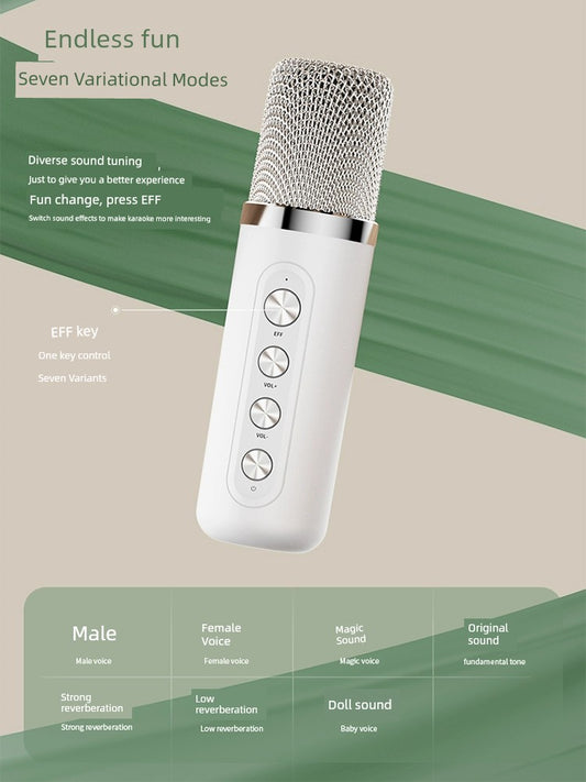 Family KTV Microphone Audio All-in-One Machine Karaoke For Home Singing TV WeSing Wireless Microphone