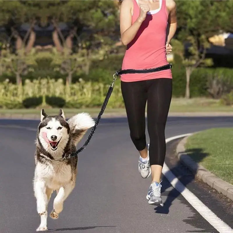 2025 NEW Cat Dog Hands-Free Leash Outdoor Sports Running Reflective Elastic Dog Walking Leash Chain Adjustable Pet Supplies