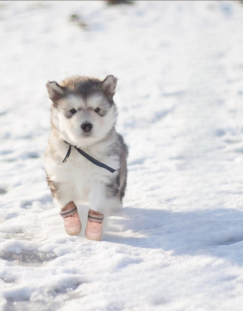 4pcs/set Pet Shoes Boots Dog Woven Shoes Small Non-slip Breathable Wear-resistant Protective Footwear Dog Shoes