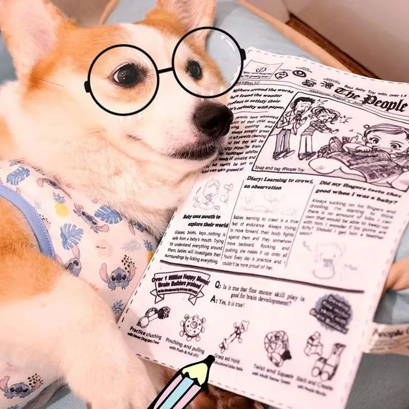 2026 New Pet Dog Sound Toys, Bite-resistant, Self-lifting Boredom Artifact, Sound Newspaper, J, Q, K, Sound Paper Toy Supplies.
