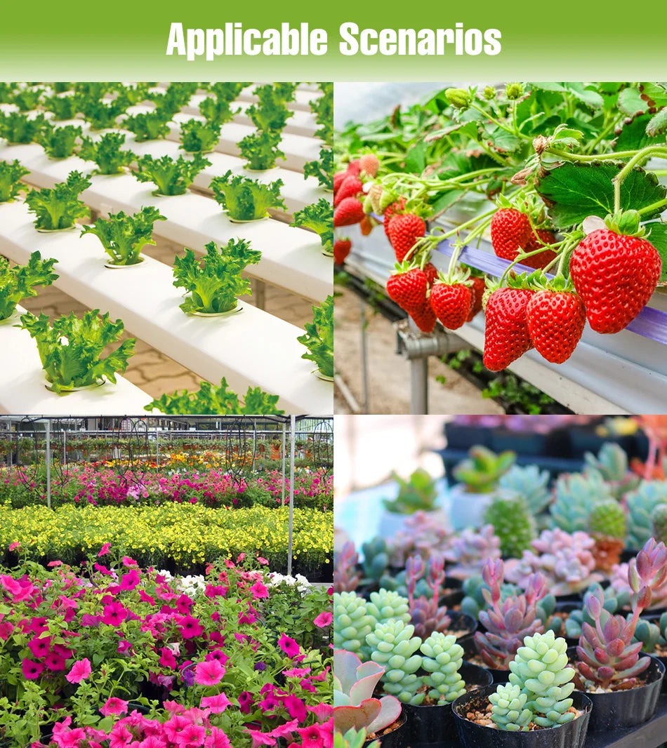 100W 50W LED Full Spectrum Indoor Grow Light Quantum Plate Plant Lamp Greenhouse Flower Succulents Potted Cultivation US/EU Plug