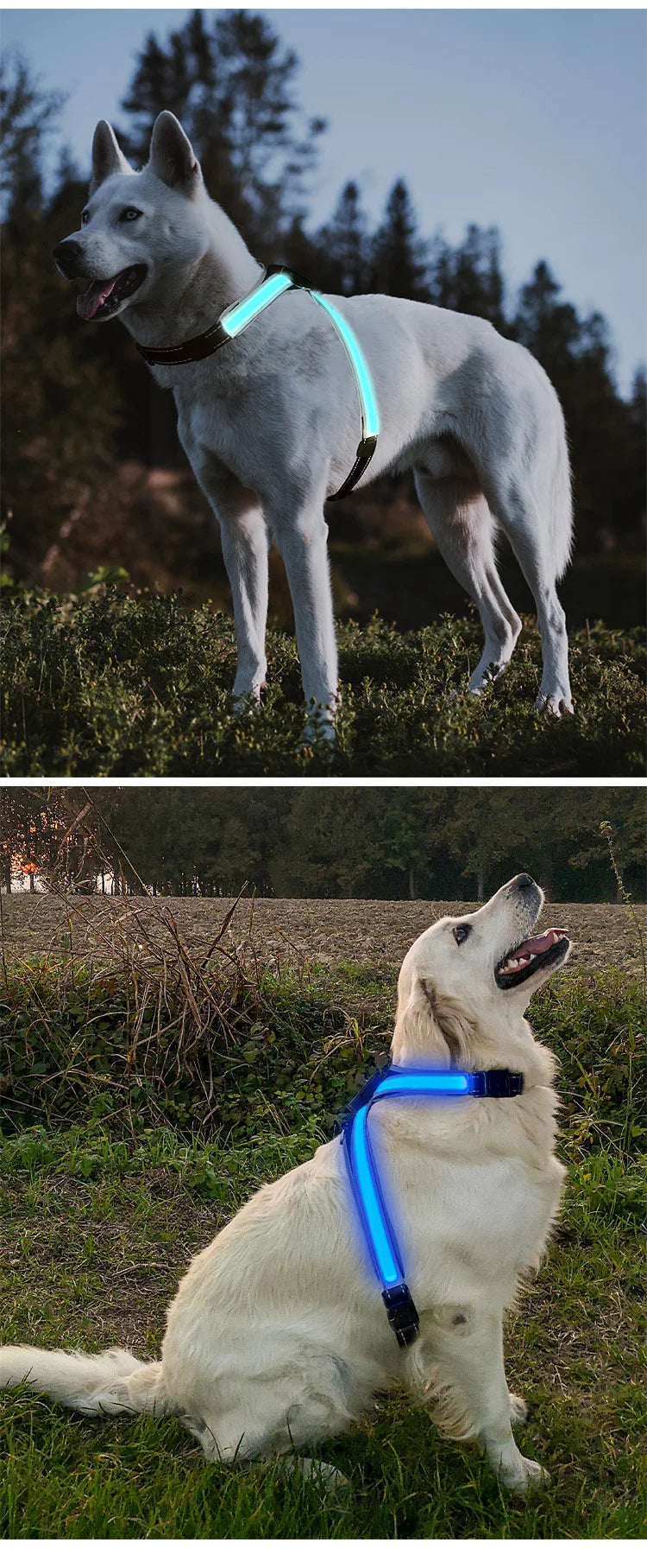Color Changing Dog Collar Explosion Resistant Reflective Vest Adjustable Chest Harness LED Light Pet Leash