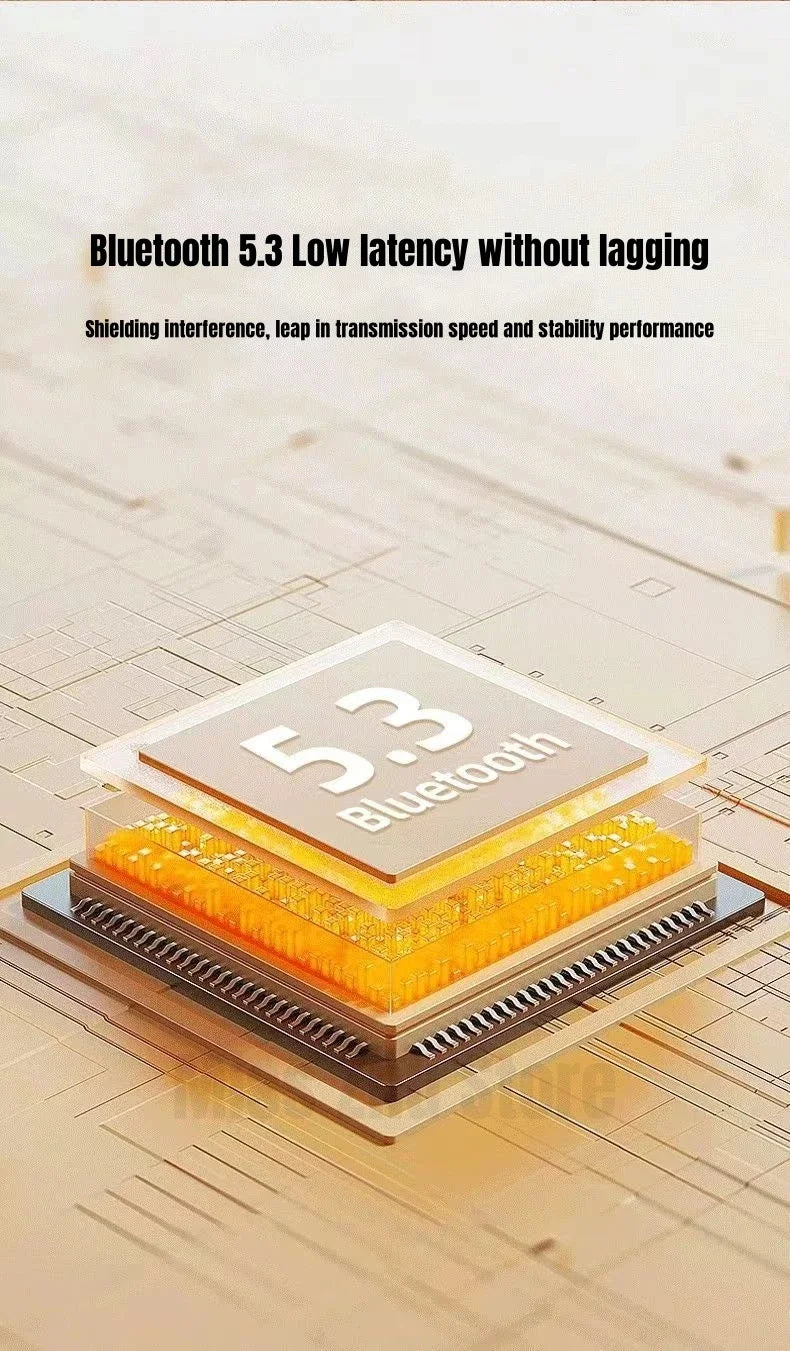 SANSUI F55 Portable FM Radio Video display radio Wireless Bluetooth Speakers Dual TF Card Slot MP4 Music Player Video E-book