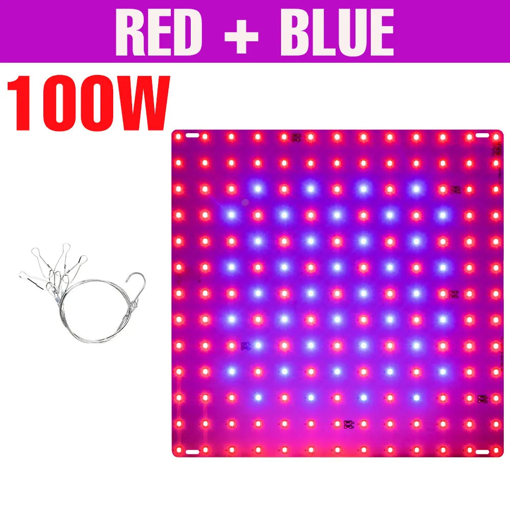 200W LED Grow Light Full Spectrum Quantum Board Plant Cultivation Lamp For Indoor Potted Flower Greenhouse Tent Tomato Vegetable