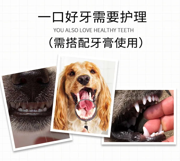 Pet Toothbrush Set Dog Cat Oral Care Kit Pet Toothpaste Cleaning Supplies for Dogs Cats Dental Hygiene Grooming