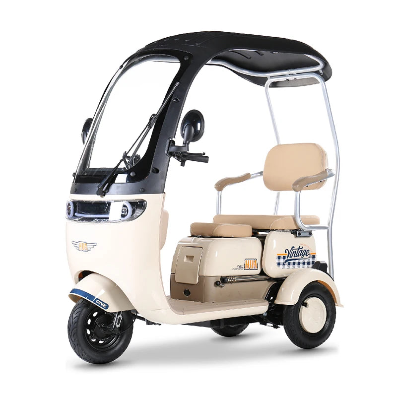 3 Wheels 1000W Electric Scooter Electric Tricycle Small Mobility Scooters Electric Ebike For Adults