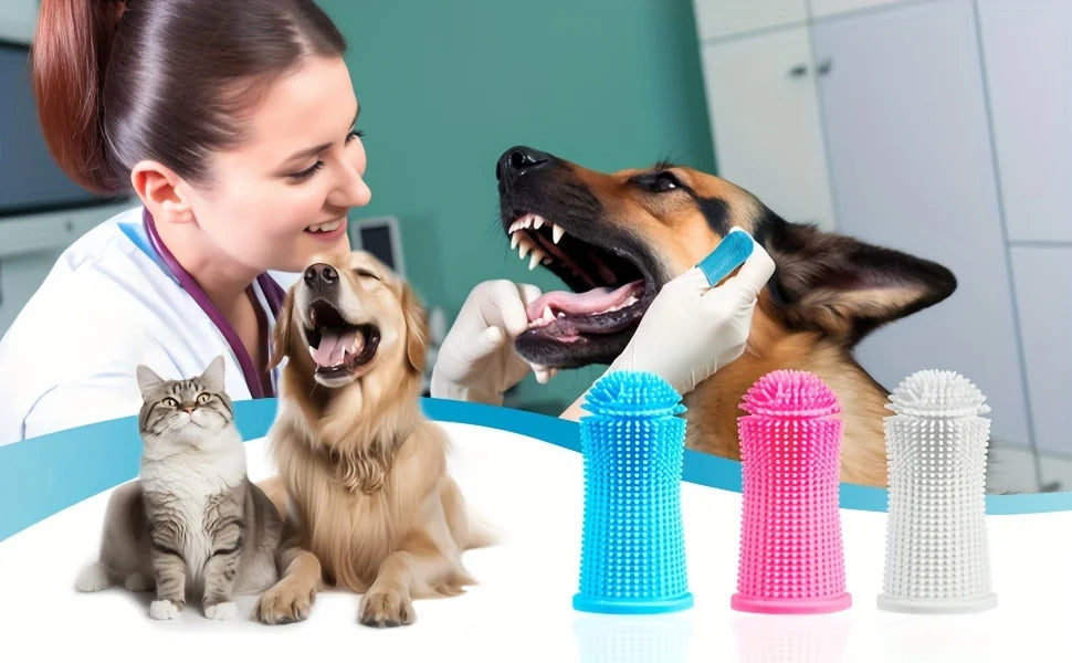 3pcs Softest Pet Toothbrush, Perfect for Cleaning Your Dog or Cat'S Teeth