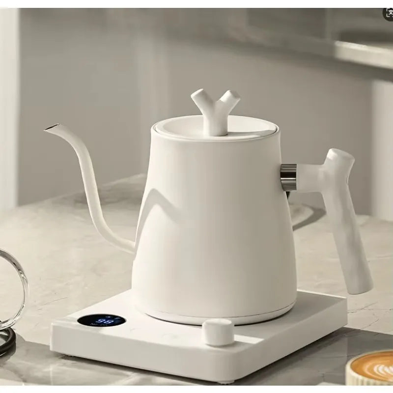220V Gooseneck Electric Kettle 1L with Temp Control 45-100°C, 304 Stainless Steel Quick Heat, Coffee Tea Brewing