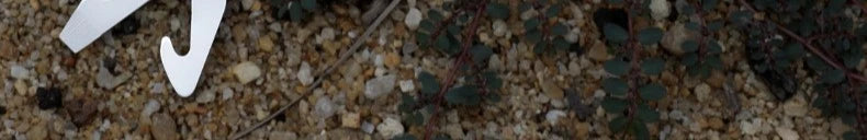 Multitools Pliers Stainless Steel Folding Tool Pliers Outdoor Camping Survival Portable Pocket Tools Multipurpose Manual Tools