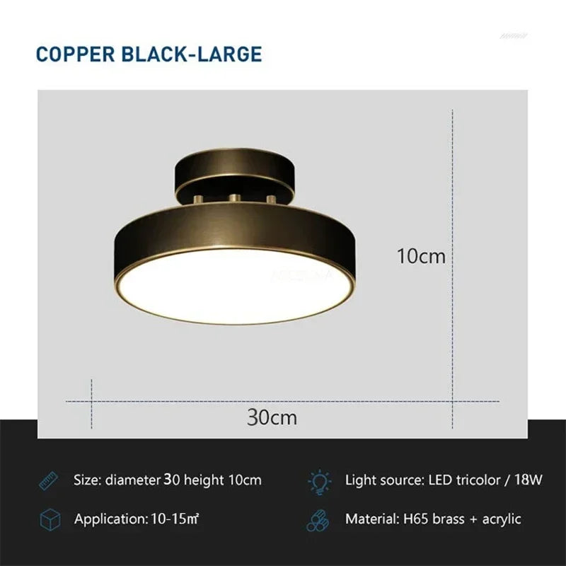 LED Ceiling Light Modern Rotatable Lamp For Corridor Bedroom Living Room Restaurant Indoor Home Decor Round Illumination Fixture