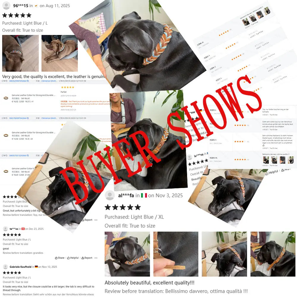 Genuine Leather Collar For Strong And Durable Puppy Medium Large Dogs Fashion Braided Colorful Nylon Rope Dog Collar New Arrival