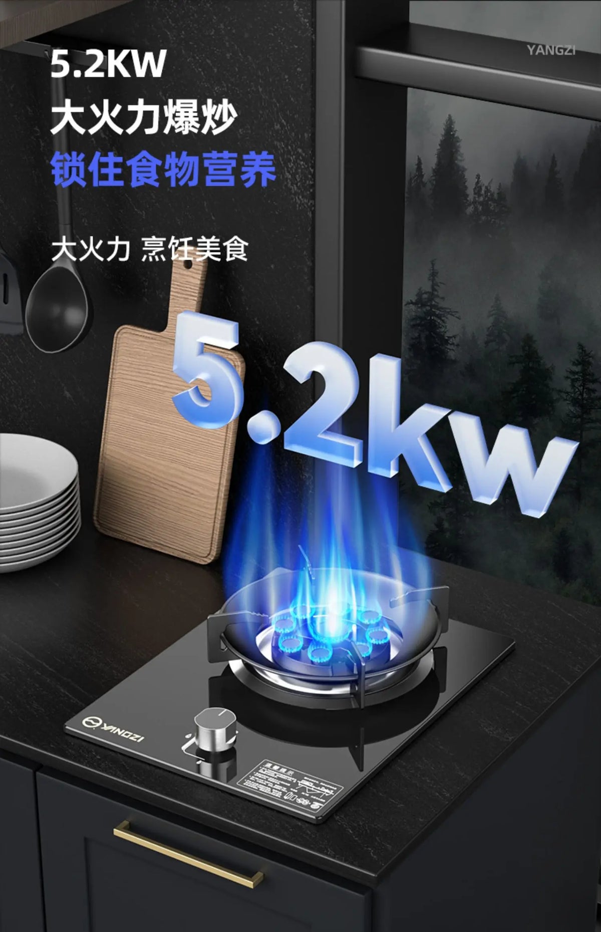 Gas Stove, Single Burner for Home Use, Dual-Purpose Embedded, YANGZI Mighty Fire Gas Stove AB