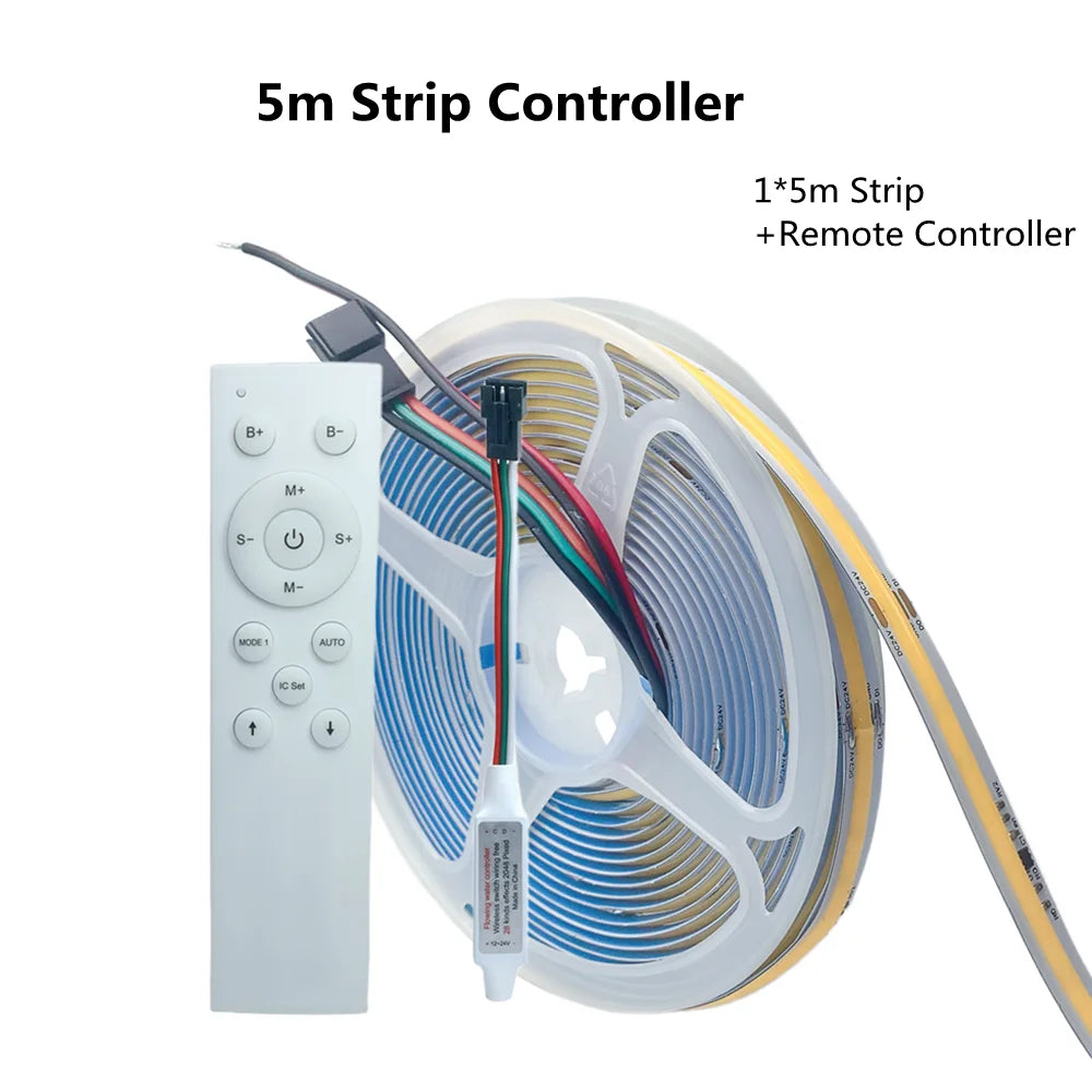 WS2811 COB Running Water Flowing LED Strip Light Horse Race Chasing Tape Wireless Remote Controller DC24V Power 20M 10M Full Set