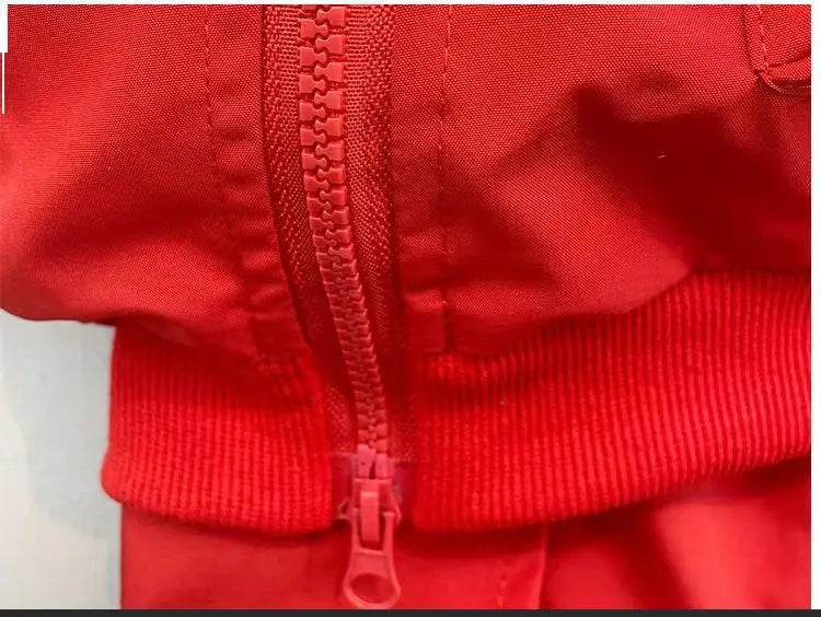 Baby Boys' Clothing Set Spring and Autumn New Handsome Children's Hooded Jacket Pants Two Piece Clothing Sports Set 2-9Y