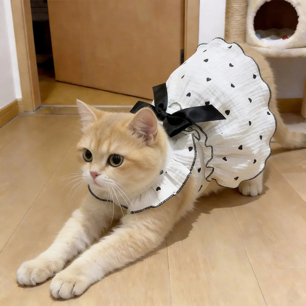 Pet Dresses And Clothing For Dogs And Cats, Including Spring And Summer Outfits For Teddy Bear, Pomeranian, And Pomeranian Rbeed