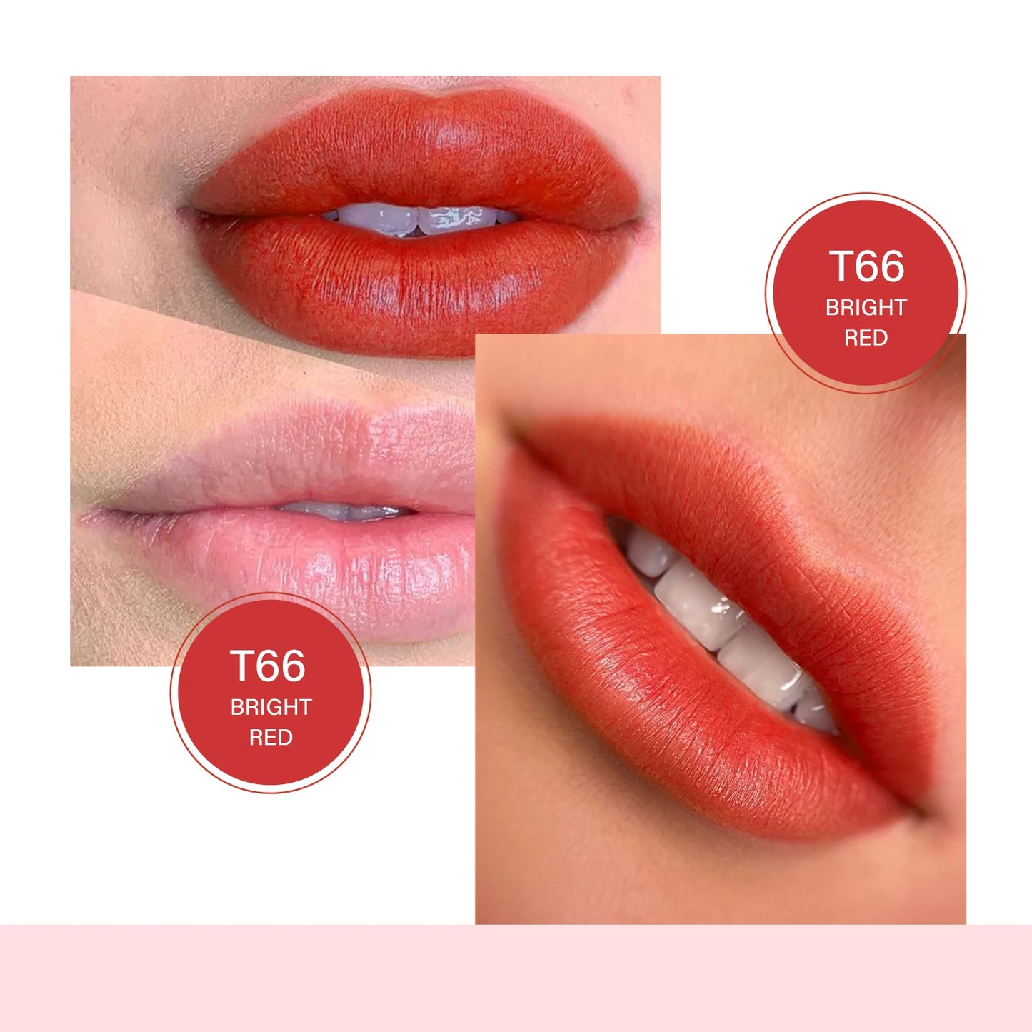 FAMISOO 5ML Lip Tattoo Inks Microblading Organic Permanent Makeup Lips Pigment Tattoo Pink Eyebrow Eyeliner PMU Pigment 0.17 OZ