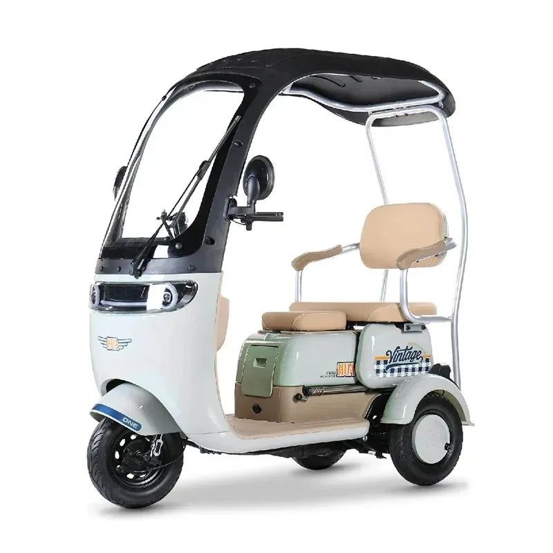 3 Wheels 1000W Electric Scooter Electric Tricycle Small Mobility Scooters Electric Ebike For Adults