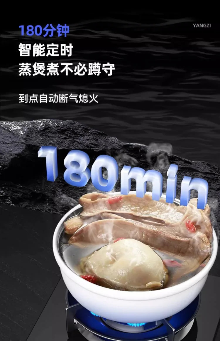 Gas Stove, Single Burner for Home Use, Dual-Purpose Embedded, YANGZI Mighty Fire Gas Stove AB