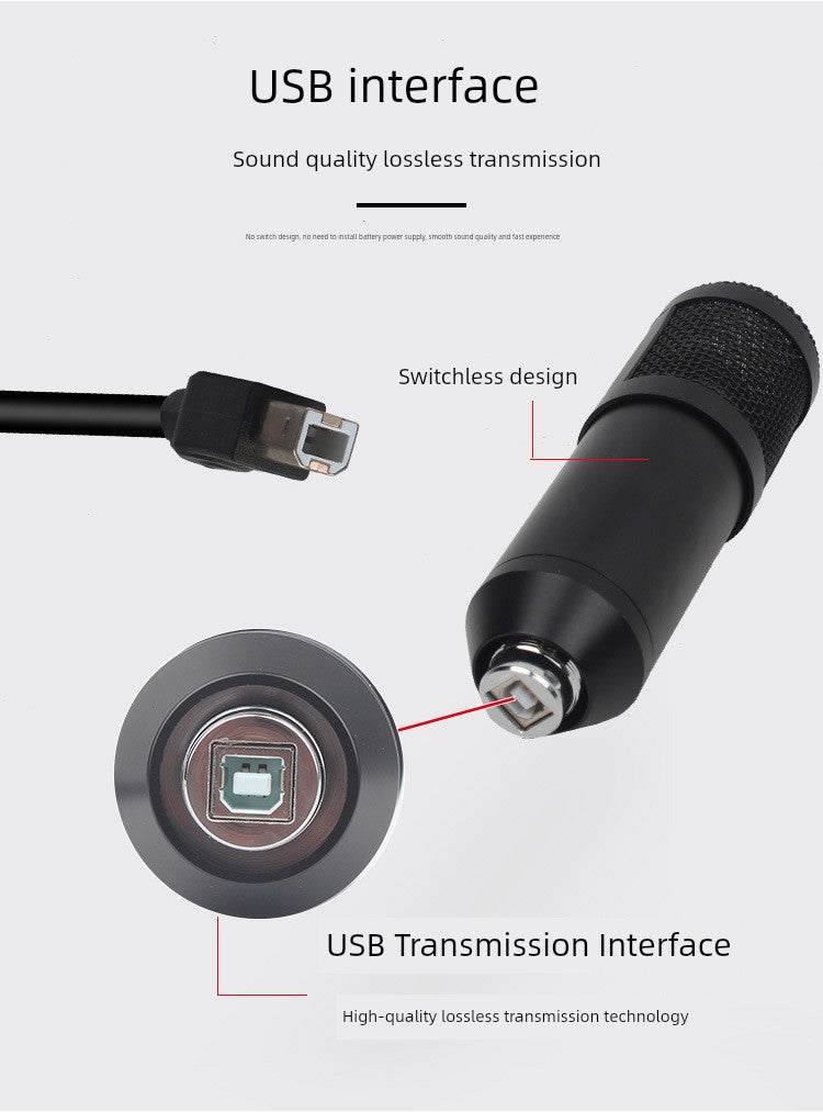 High Sampling Rate USB Microphone Computer Game Recording Bm700 Capacitance Mic Suit 192KHz/24bit