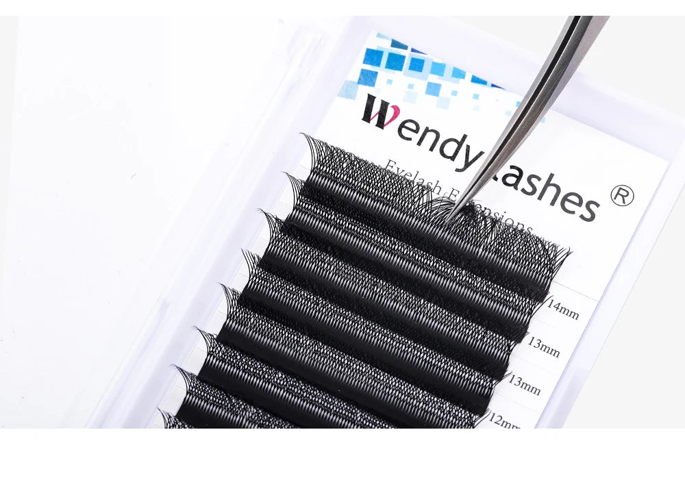 Wendy Lashes 6D W Shape EyeLash Extension Premade Volume Fan High Quality Fake Eyelashes Supplies Natural Look Handmade Lash