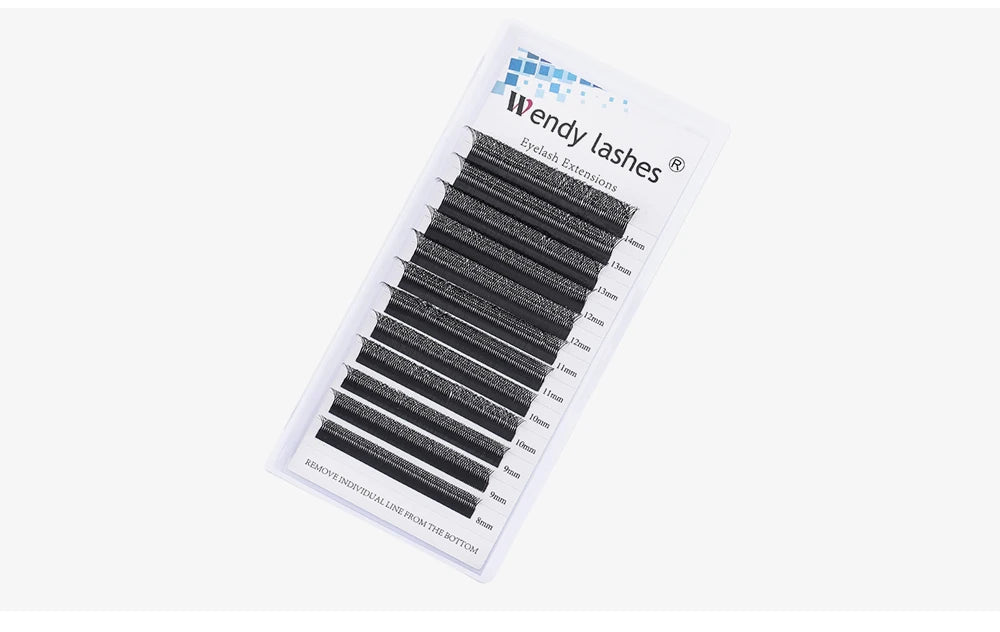 Wendy Lashes 6D W Shape EyeLash Extension Premade Volume Fan High Quality Fake Eyelashes Supplies Natural Look Handmade Lash