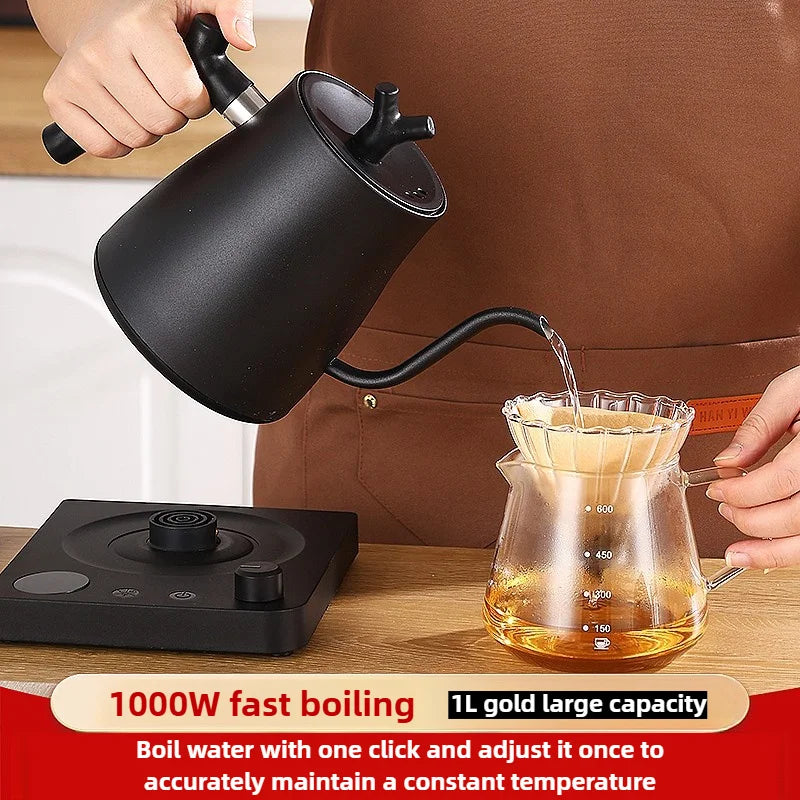 220V Gooseneck Electric Kettle 1L with Temp Control 45-100°C, 304 Stainless Steel Quick Heat, Coffee Tea Brewing