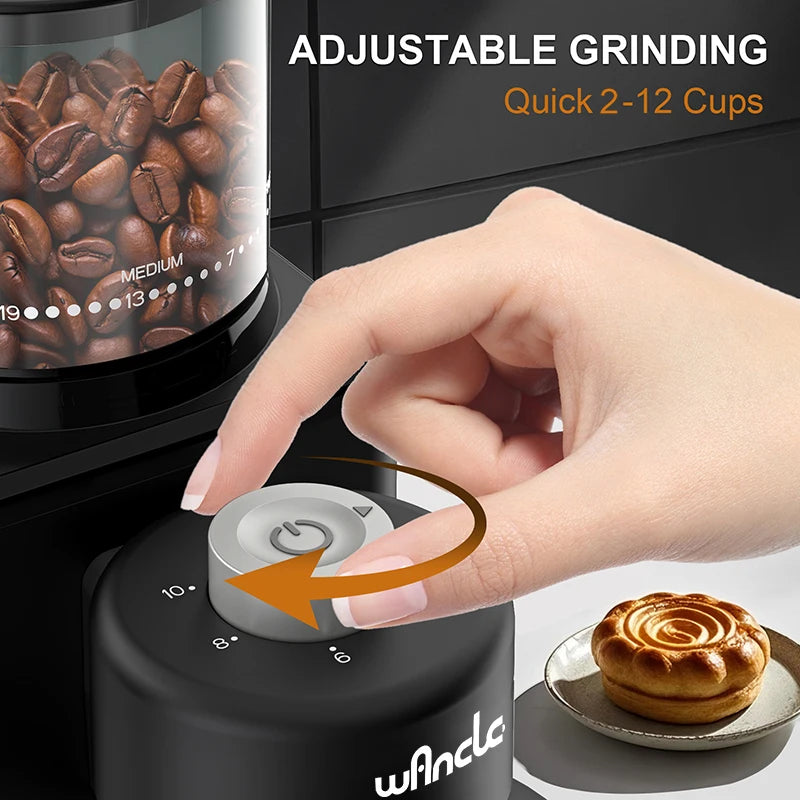 Coffee Grinder Automatic Electric Conical Grinder with Powder Blower 25 Precise Grindings for Espresso French Press 2-12 Cups