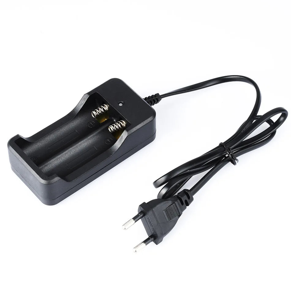 Dual Slots USB Batteries Smart Charger EU Plug 18650 26650 14500 Universal Battery Charger For Li-ion 3.7V Rechargeable 2 Slots