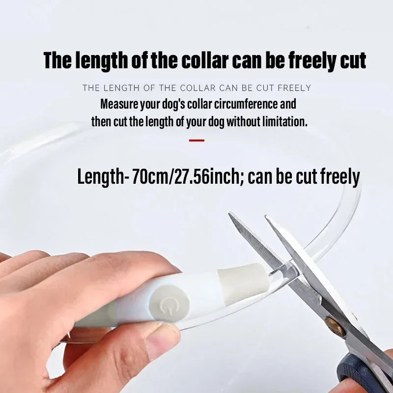 2PCS LED Dog Collar Light - Type-C Charging Waterproof Glow Necklace, Reflective Anti-Lost Safety Collar for Night Walking