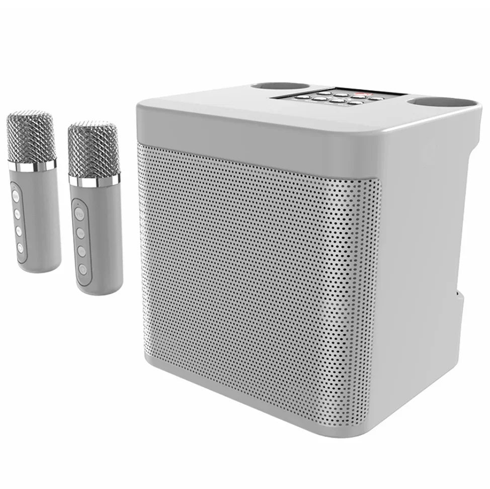 Karaoke Machine for Adults, Portable Bluetooth Speaker with 2 Wireless Microphones, Portable PA System for Big Party, Outdoor