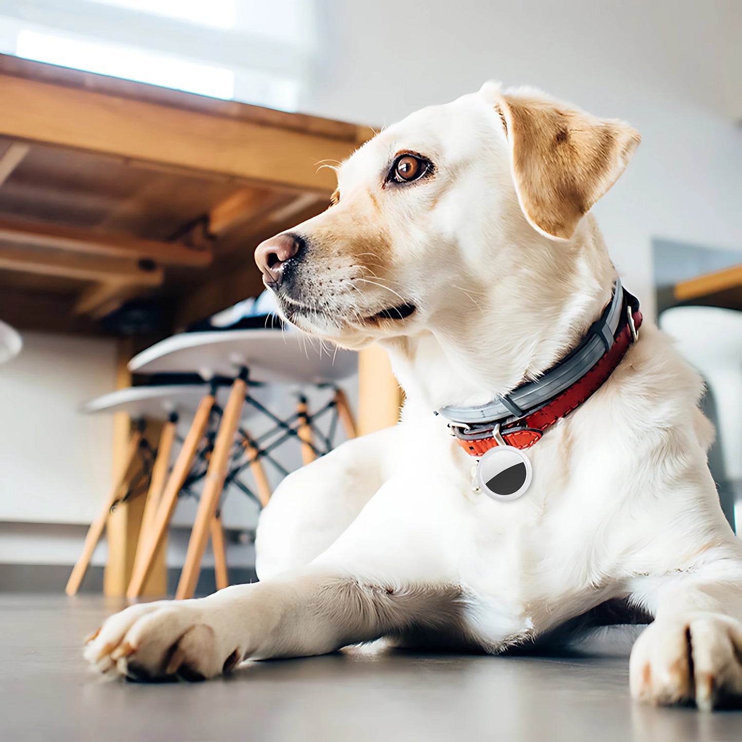 GPS Mini Tracker GPS Locator GPS Smart Car Work For isearcing Smart Finder Key Finder Children Locating Tracker Pet Tracker GPS