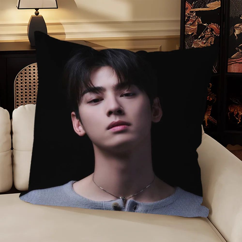 Korea Singer C-Cha Eun Woo Cushion Cover Sofa Living Room Bedroom Headboard Backrest Cushion Square Cushion Nap Time Pillow Case