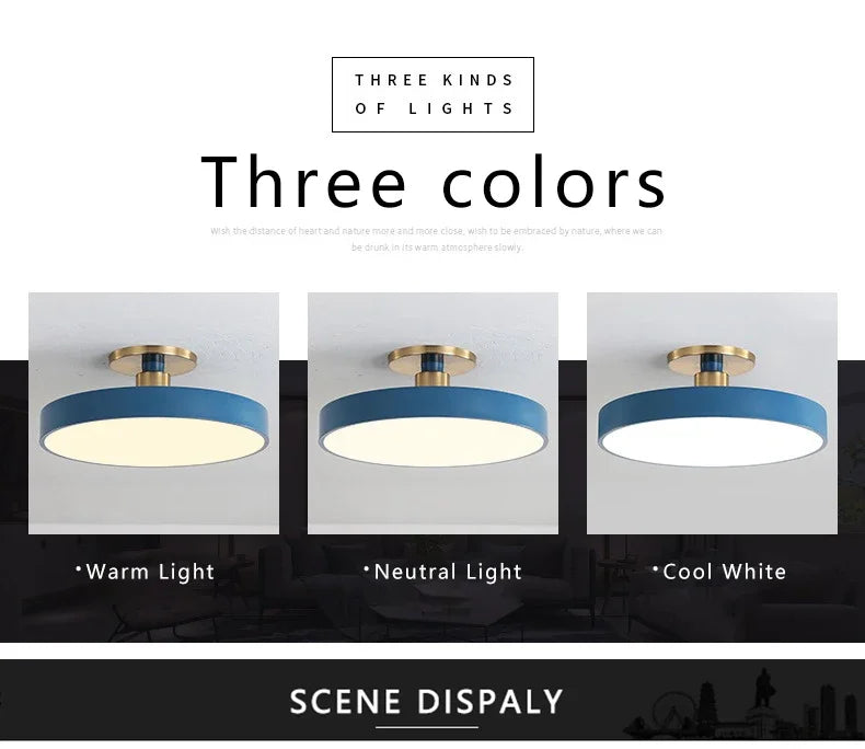 Modern LED Ceiling Light Nordic Macaron Circular Pendant Light Children's Room Dining Room Study Room Interior Decoration Light