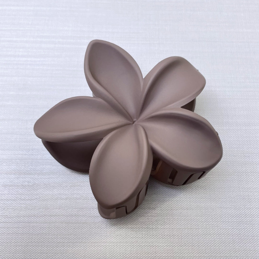 Frosted Holiday Hot Sale Side Grab Barrettes